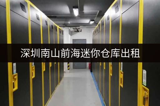 深圳南山前海迷你仓库出租，多种面积，满足您的需求！