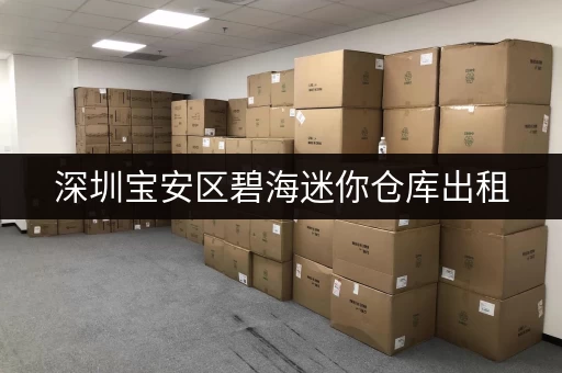 深圳宝安区碧海迷你仓库出租，价格便宜空间灵活