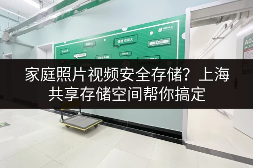 家庭照片视频安全存储？上海共享存储空间帮你搞定