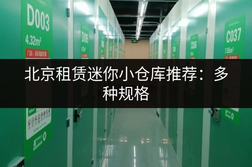 北京租赁迷你小仓库推荐：多种规格，位置优越，安全放心