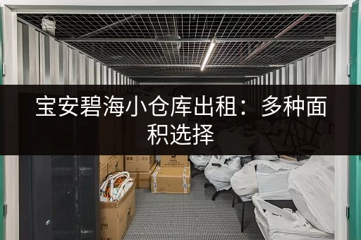 宝安碧海小仓库出租：多种面积选择，满足您的需求