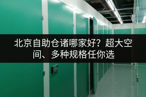 北京自助仓诸哪家好？超大空间、多种规格任你选