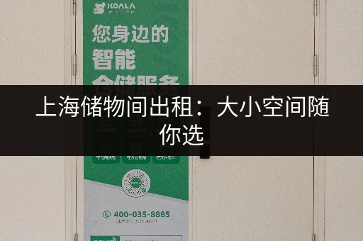 上海储物间出租：大小空间随你选，个人企业都适用！