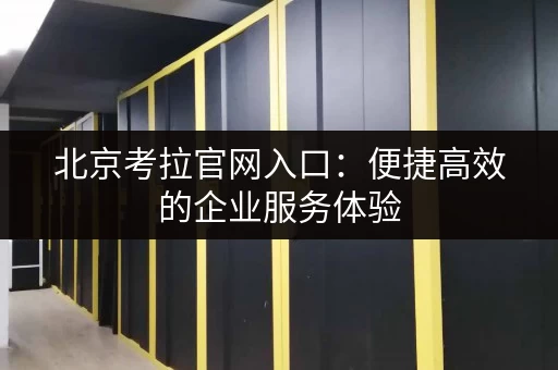 北京考拉官网入口：便捷高效的企业服务体验
