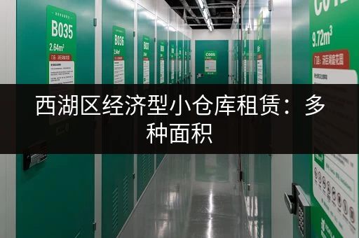 西湖区经济型小仓库租赁：多种面积，灵活租期，省心省力