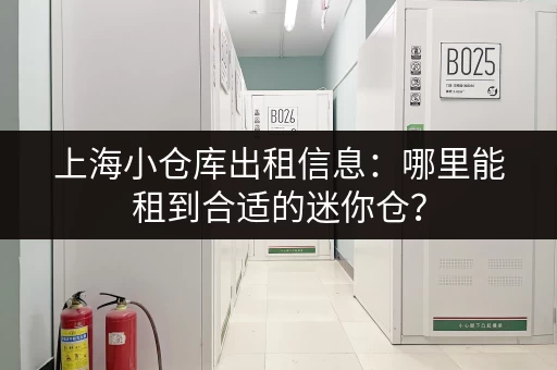 上海小仓库出租信息：哪里能租到合适的迷你仓？