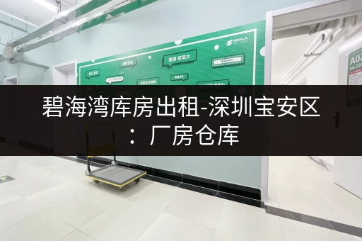 碧海湾库房出租-深圳宝安区：厂房仓库，多种选择