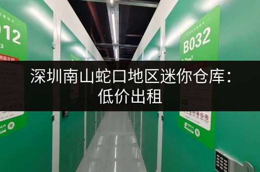 深圳南山蛇口地区迷你仓库：低价出租，适合小型企业