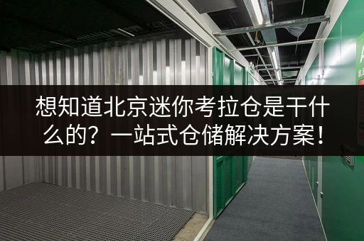 想知道北京迷你考拉仓是干什么的？一站式仓储解决方案！