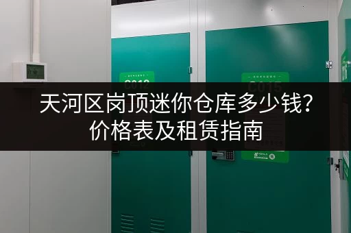 天河区岗顶迷你仓库多少钱？价格表及租赁指南