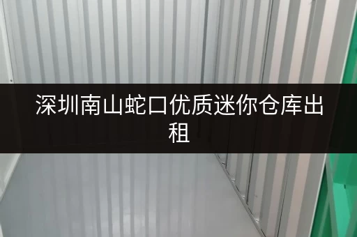 深圳南山蛇口优质迷你仓库出租，月租低至百元起