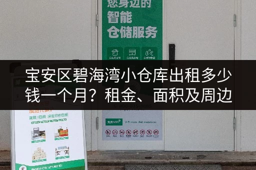 宝安区碧海湾小仓库出租多少钱一个月？租金、面积及周边配套详解