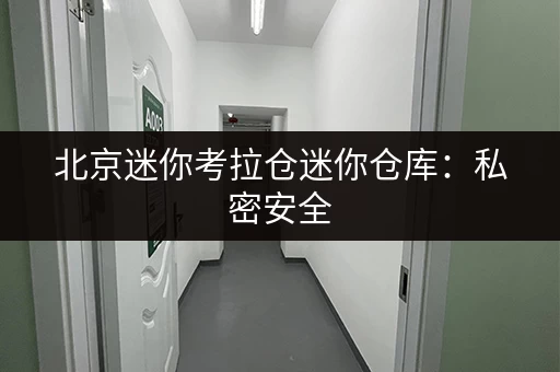 北京迷你考拉仓迷你仓库：私密安全，灵活便捷