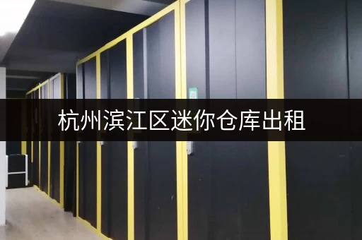 杭州滨江区迷你仓库出租，价格低廉，位置优越！