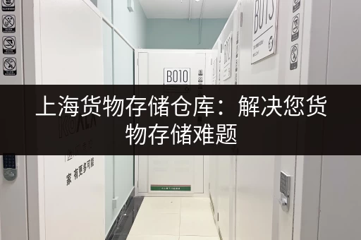 上海货物存储仓库：解决您货物存储难题