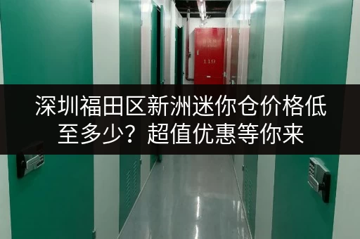 深圳福田区新洲迷你仓价格低至多少？超值优惠等你来