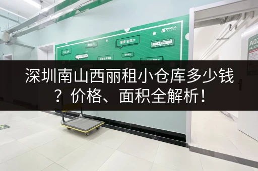深圳南山西丽租小仓库多少钱？价格、面积全解析！
