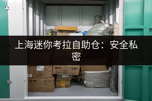 上海迷你考拉自助仓：安全私密，价格实惠