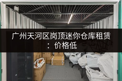 广州天河区岗顶迷你仓库租赁：价格低，空间灵活！