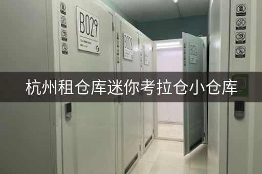 杭州租仓库迷你考拉仓小仓库，杭州下沙小型仓库出租