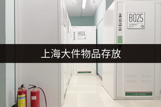 上海大件物品存放，解决你的出行烦恼！