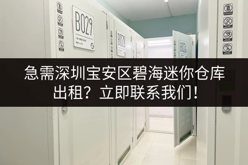 急需深圳宝安区碧海迷你仓库出租？立即联系我们！