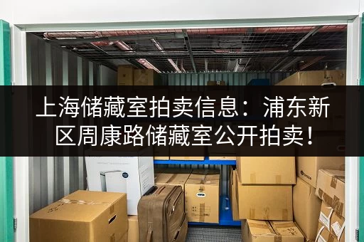 上海储藏室拍卖信息：浦东新区周康路储藏室公开拍卖！