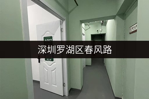 深圳罗湖区春风路，低价出租小仓库，拎包入住！