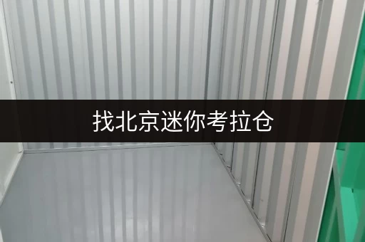 找北京迷你考拉仓，小仓库租赁，多种尺寸可选