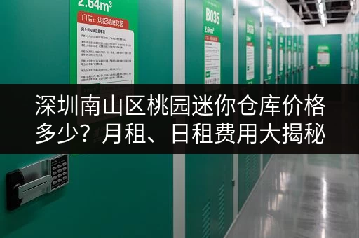 深圳南山区桃园迷你仓库价格多少？月租、日租费用大揭秘！