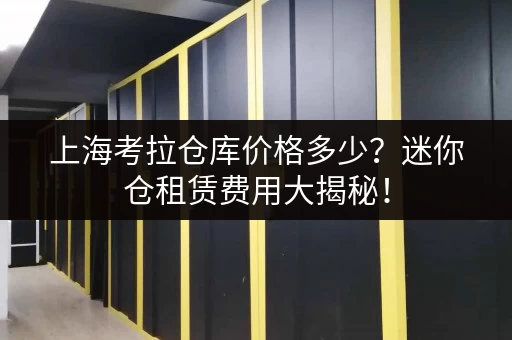 上海考拉仓库价格多少？迷你仓租赁费用大揭秘！