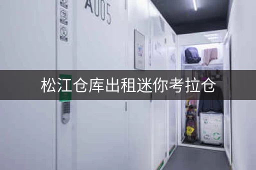 松江仓库出租迷你考拉仓，上海小仓库出租20m
