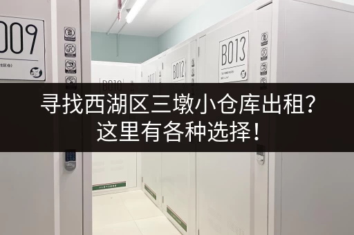 寻找西湖区三墩小仓库出租？这里有各种选择！