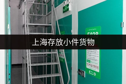 上海存放小件货物，便捷可靠的迷你仓推荐