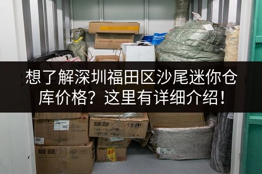 想了解深圳福田区沙尾迷你仓库价格？这里有详细介绍！
