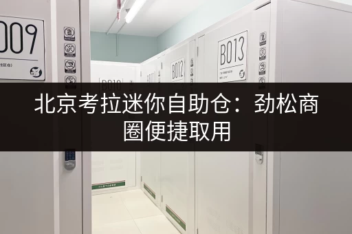 北京考拉迷你自助仓：劲松商圈便捷取用，给您更舒适的生活！