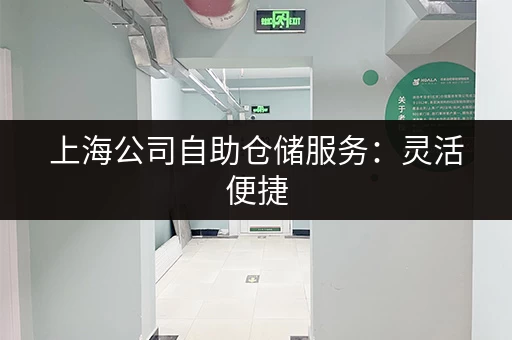 上海公司自助仓储服务：灵活便捷，省心省力