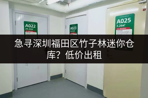 急寻深圳福田区竹子林迷你仓库？低价出租，多种选择