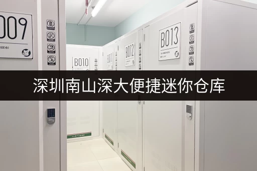 深圳南山深大便捷迷你仓库，月租季租年租可选