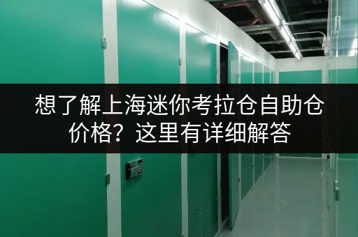 想了解上海迷你考拉仓自助仓价格？这里有详细解答