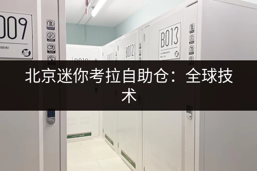 北京迷你考拉自助仓：全球技术，便捷的个人仓储服务