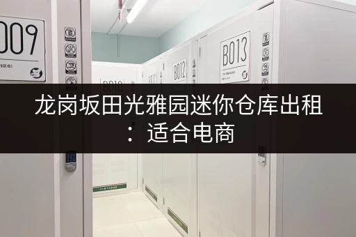 龙岗坂田光雅园迷你仓库出租：适合电商，多种户型可选！
