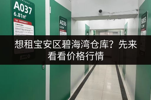想租宝安区碧海湾仓库？先来看看价格行情