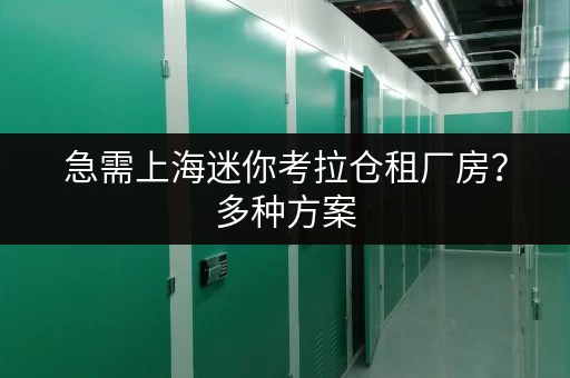 急需上海迷你考拉仓租厂房？多种方案，快速解决