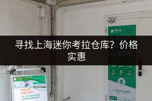 寻找上海迷你考拉仓库？价格实惠，空间灵活，租仓更方便！