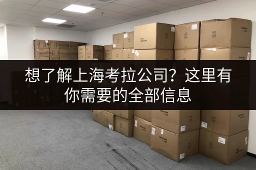想了解上海考拉公司？这里有你需要的全部信息