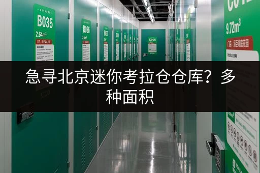 急寻北京迷你考拉仓仓库？多种面积，满足您的个性化需求！