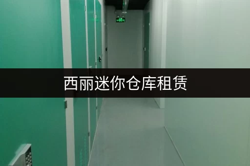 西丽迷你仓库租赁，深圳南山区优质仓储空间