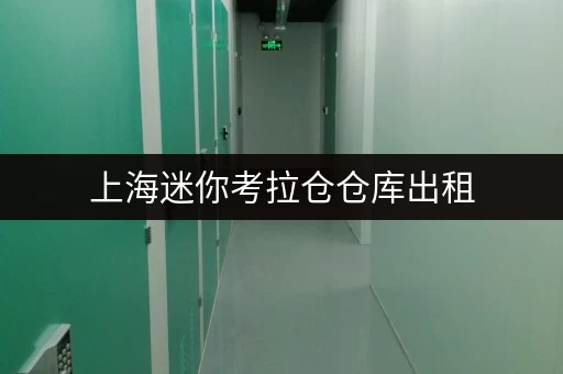 上海迷你考拉仓仓库出租，安全便捷的小仓库租赁