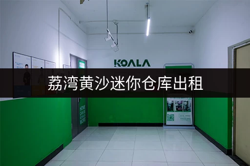 荔湾黄沙迷你仓库出租，多种规格，满足您各种需求！